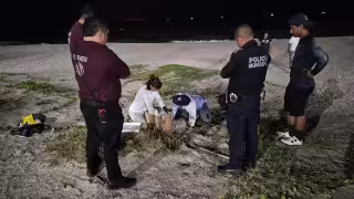 Resguardan 161 huevos de tortuga marina tras desove en Playa Norte de Ciudad del Carmen