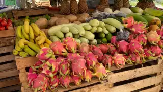 Precio de la pitaya se dispara en Hopelchén; sube a 50 pesos el kilo y podría alcanzar los 90