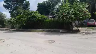 ¡Adiós cena navideña! Ladrones se roban pavo en la Salsipuedes, en Escárcega