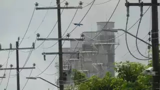 Foto: Fernando Kantún