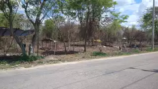 Los invasores de terrenos han comenzado a deshabitarlos debido a los constantes cobros de sus líderes