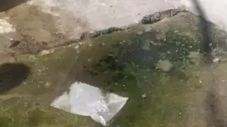 CAPA ignora derrame de aguas negras en Cozumel