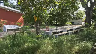 La maleza creció e invadió los espacios de recreación, donde los niños solían jugar