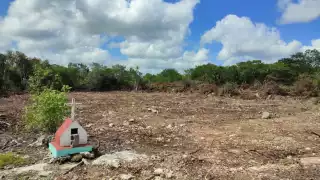 Son 800 hectáreas despojadas