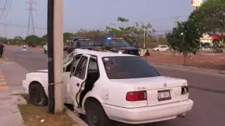 Un tsuru terminó golpeando contra un poste eléctrico