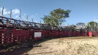 Hasta el momento toda la organización de esta feria popular continúa en pie, sin ningún problema