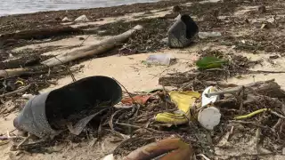 FOTO: Mario Hernández