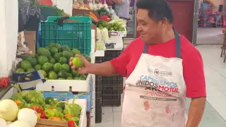 Precio del limón preocupa a los vecinos de Motul; podría llegar hasta los mil pesos por caja