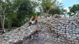 Podría ser un nuevo texto para ampliar el conocimiento de la cultura ancestral