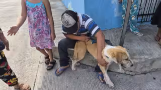 Ataque de perros deja heridos a hombre y su mascota en Ciudad del Carmen; menor resulta ilesa
