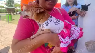 Campeche celebra misa de bendición para mascotas con trajes típicos por el mes de la Campechanidad