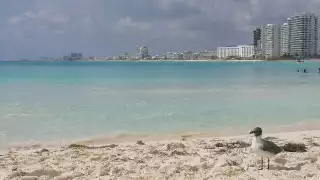Cancún es el destino turístico más importante de Quintana Roo gracias a sus bellas playas