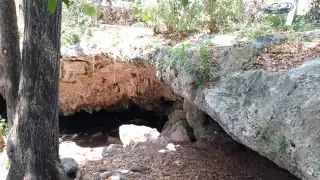 Dos días luego de ser limpiado, volvió a estar sucio