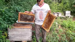 Varios centros de acopio de la región esperaban que los productores acudieran para comercializar el néctar, tomando en cuenta la temporada