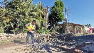 Vecinos pidieron a CFE que recomiende a la gente con árboles que topen con cables, que los corten