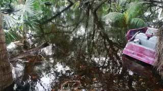 FOTOS:  Irene Barradas