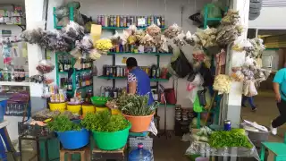 Comerciante de especias se prepara para el Día de Muertos en Ciudad del Carmen