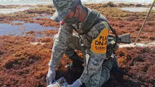 Recalan cinco paquetes de droga en playa Punta Arrecifes de Cozumel