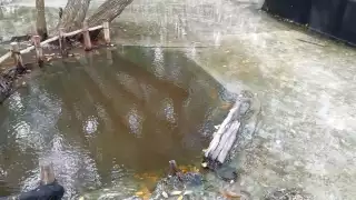 FOTOS: Cultur Yucatán