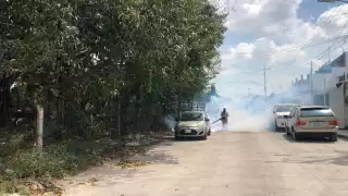 Suman dos nuevos decesos por dengue en Quintana Roo