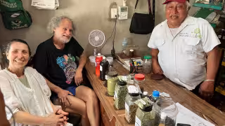 Investigadores franceses llegan a Hopelchén para estudiar medicina maya con serpiente de cascabel