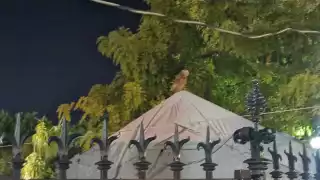 Foto: Ricardo Jiménez