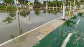 Foto: Juan Carlos García Vaughan