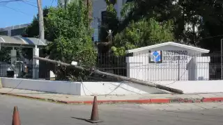 El tráiler golpeó un poste de luz