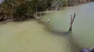 La red fue removida de inmediato del lugar y asegurada