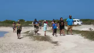 Se desconoce el proceso que realizará la Comisión Nacional de Áreas Naturales Protegidas ante el daño ambiental en Río Lagartos