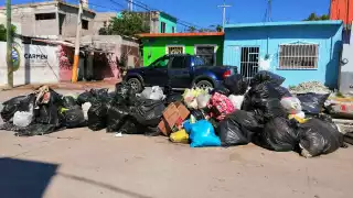 Foto: Irene Barradas