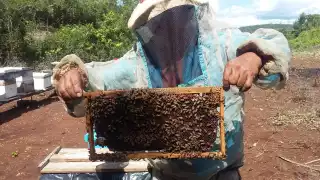 Se han conjuntado diversas problemáticas como las granjas porcícolas y la agroindustria en Hopelchén