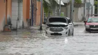 FOTOS: Ricardo Jiménez