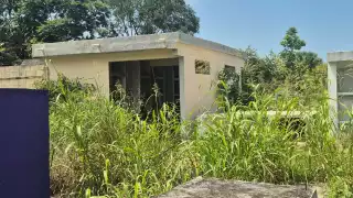 Panteón La Cruz, en Champotón, en el olvido: Tumbas cubiertas de monte y plaga de mosquitos   