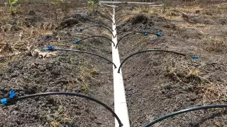 Existen proyectos que no se han terminado debido a que el gobierno del Estado no ha contribuido con la parte que le corresponde