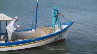 Pescadores de San Crisanto prevén mal cierre en la temporada de mero