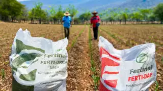 Se han entregado más de 676 mil toneladas de fertilizantes
