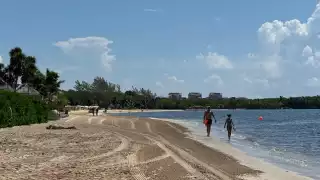Activistas ambientales preparan procesos legales contra atentado arrecifal de Playa del Carmen