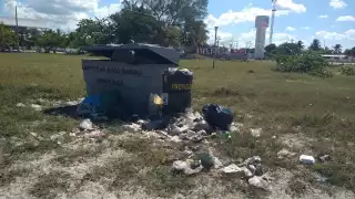 Río Lagartos: Basureros a cielo abierto ponen en riesgo la Reserva de la Biosfera