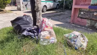FOTOS: Brian Lara