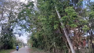 Vecinos de Escárcega denuncian poste de la CFE en riesgo de colapso