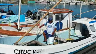 A un mes de que finalice la temporada de pulpo en el Estado, los hombres de mar aseguran que se viven tiempos difíciles