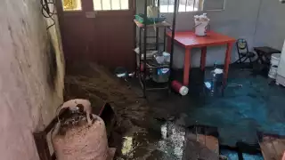 Foto: Ricardo Jiménez