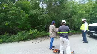 CFE inicia trazado eléctrico en Ukum, Hopelchén tras décadas de abandono