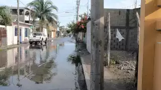 Foto: Agustín Ferrer