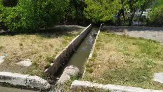 FOTOS: Juan Carlos García Vaughan