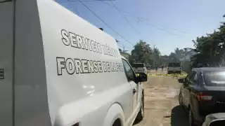 Hombre se ahorca en un árbol en el patio de su casa en Bacalar