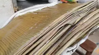 FOTOS: Irene Barradas