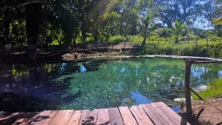Ojo de Agua Santiago: El paraíso natural a solo 20 minutos de la capital de Campeche