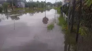 Las personas tienen que caminar medio kilómetro entre el agua. Foto: Fernando Kantún